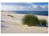 Strand mit Dünengras