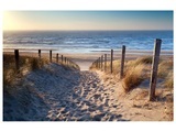 Sandweg Zum Meer 2