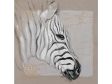 Schubiger, Schubiger Bild Zebrakopf