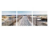 Bild Der Weg Zum Strand