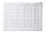 Billerbeck, billerbeck - Duvet MEISTERKLASSE UNO - weiss - Baumwolle - 160cm/210cm