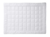Billerbeck, billerbeck - Duvet MEISTERKLASSE UNO - weiss - Baumwolle - 160cm/240cm