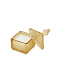 Jasmine Gelb H: 12 cm