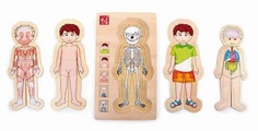 small foot ® Schichtenpuzzle Anatomie Tim - bunt