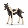 Schleich, Schleich Pinto Fohlen