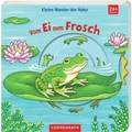Kleine Wunder der Natur: Vom Ei zum Frosch