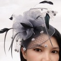 Feder / Netz Fascinatoren / Vogelkäfig Schleier mit 1 Hochzeit / Party / Abend / Damentag Kopfschmuck Lightinthebox