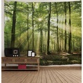 natur wandteppich kunst dekor decke vorhang picknick tischdecke hängen nach hause schlafzimmer wohnzimmer wohnheim dekoration waldlandschaft sonnenschein durch baum Lightinthebox