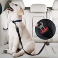 2 Stück Haustier Auto Sicherheitsgurt Nylon Haustiere Hund Katzensitz Blei Leine Gurt für Welpen Kätzchen Fahrzeug Sicherheitsleine verstellbar Lightinthebox