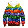 Lighinthebox, Kinder Jungen Kapuzenshirt Langarm Regenbogen 3D-Druck Geometrisch Schulanfang Rennrad Outdoor Aktiv Grundlegend 3-12 Jahre / Herbst / Winter / Frühling Lightinthebox