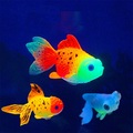 2 Stück leuchten im Dunkeln künstliches Aquarium Goldfisch Ornament Aquarium Qualle für Garten Ornament Aquarium Dekoration Lightinthebox