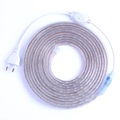 LED-Streifen flexibles Licht smd 5050 ac220v 110v 60leds wasserdichtes LED-Band LED-Licht mit Netzstecker 5m 10m 1m Lightinthebox