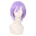 12 Zoll/30 cm Anime Cosplay kurze lockige Kunsthaar-Seiten-Pony-Perücke (graublau/helllila) Lightinthebox