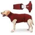 Hund physiologische Kleidung Hundewindeln Tante Kleidung postkastrierte Kleidung mit Windeln Haustier Hund Kleidung Lightinthebox