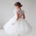 Lighinthebox, kinder kleine mädchen kleid einfarbig tüll kleid party geburtstag netz weiß knielang kurzarm elegant süß kleider frühling sommer schlank 1 pc 3-10 jahre Lightinthebox