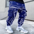 Herren Cargohose Cargohosen Hose Hosen Haremshose Elastische Taille Strick Cashewnüsse Sport In voller Länge Casual Täglich Casual Lockere Passform Tarnrot Blau Mikro-elastisch / Kordelzug Lightinthebox