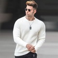Herren Pullover Gerippt Stricken Cropped Strick Feste Farbe Rundhalsausschnitt Basic Stilvoll Outdoor Täglich Bekleidung Winter Herbst Grün Blau S M L Lightinthebox