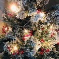Lighinthebox, weihnachten led rote beeren lichterketten 3m-20leds 1.5m-10leds rote obststock lichterkette weihnachtsfeier fenster innenhof terrasse weihnachtsbaum dekoration Lightinthebox