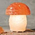 Wagner Life, Tolle Salzleuchte PILZ in Pilzform