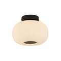 Deckenleuchte Lumina aus gefrostetem Glas