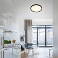 Briloner, LED-Deckenlampe 7363, Ø 42 cm, schwarz