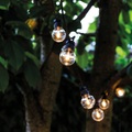 Sirius LED Lichterkette Lucas Starter Set