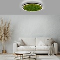 LED-Deckenlampe Green Ritus, Moos dimmbar Ø58,5cm