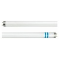 Philips G13 T8 Leuchtstofflampe mit Splitterschutz