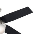 Hunter Dante Ventilator mit Licht, schwarz/braun