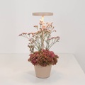 Zafferano, Zafferano Poldina Reverso Akku-Tischlampe sand