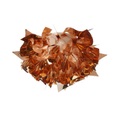 Slamp Veli Copper Wand- und Deckenleuchte