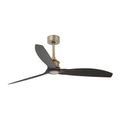 Ventilator Just Fan WiFi-Option messing schwarz