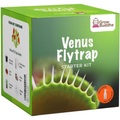Grow Buddha, Aufzuchtset Venusfliegenfalle
