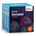 Grow Buddha, Aufzuchtset Kakteen