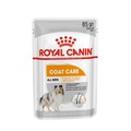 Royal Canin CCN Coat Care Wet - 24 x 85 g