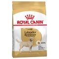 Grossgebinde Royal Canin Breed + Hundedecke gratis! - Labrador Retriever (12 kg)