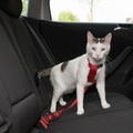 Trixie Auto-Geschirr für Katzen - rot