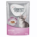 Gemischtes Sparpaket Concept for Life Gelee & Soße 24 x 85 g - Kitten in Soße und Gelee
