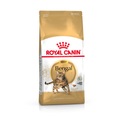 Royal Canin Breed, Royal Canin Bengal - 10 kg