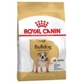Grossgebinde Royal Canin Breed + Hundedecke gratis! - Bulldog (12 kg)