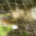 bitiba, Katzenschutznetz mit Drahtverstärkung - 2 x 1,5 m