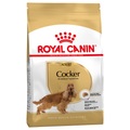 Royal Canin Breed, Royal Canin Cocker Adult - Sparpaket: 2 x 12 kg