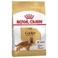 Royal Canin Cocker Adult - Sparpaket: 2 x 12 kg
