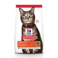Hill´s Science Plan Adult Lamm & Reis - Sparpaket: 2 x 10 kg