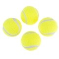 Nomad Tales Tennisball-Set - 4er Set