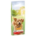 Purina Friskies Adult Hund Active mit Rind - Sparpaket: 2 x 12 kg