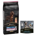 PRO PLAN Large Athletic Adult Sensitive Skin OPTIDERMA - 14 kg