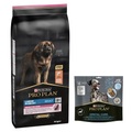PRO PLAN Large Robust Adult Sensitive Skin OPTIDERMA - 14 kg