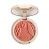 green COUTURE by Artdeco, green COUTURE - Silky Powder Blush Terracotta Cheeks 20