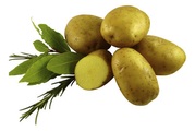undefined, Saatkartoffeln VITABELLA BIO